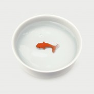Fish Pet Bowl 2 