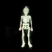 Skeletons Glow in the Dark - 16 Pack 1 