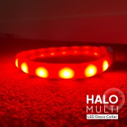 Multi-Function LED Halo - USB Rechargeable 1 