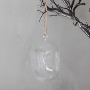 Hanging Oval Glass Terrarium 8 