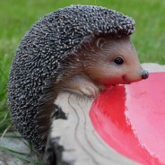 Hedgehog Feeder 1 