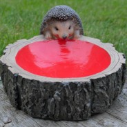 Hedgehog Feeder 3 