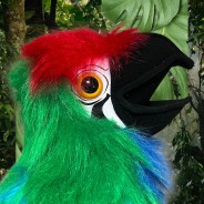 Military Macaw Hand Puppet with Squeaker 2 