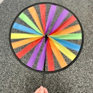 Rainbow Fabric Windmill Wheel Stake 3 