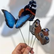 Fluttering Butterfly Clips and Picks - 4 Pack 1 Butterfly Picks