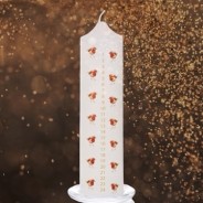 Robin Advent Pillar Candle & Glass Candle Plate 4 