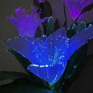 Fibre Optic Colour Change White Lilies 50cm Tall 6 