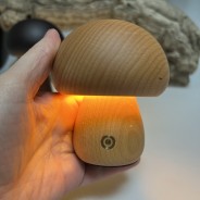 Wooden Mushroom Lamps - Rechargeable and Dimmable 4 