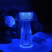 Mushroom Colour Change Crystal Lamp - USB Rechargeable  12 