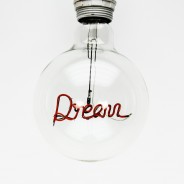 Dream LED Filament Bulb  5 