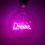 Dream LED Filament Bulb  4 