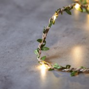 Leaf Twine 20 LED Battery Operated Light Chain 1 