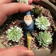 Gnome Mini Plant Pot Pals - 4 Pack 3 