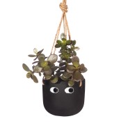 Peggy Hanging Planters in Black or Terracotta 2 