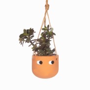 Peggy Hanging Planters in Black or Terracotta 3 