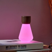 Pentagon Portable Desk Colourful Bulb Lamp - Rechargeable 3 