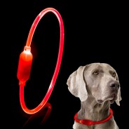 Rechargeable Collar Light - Findables 9 