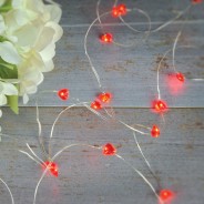 Heart Copper Wire String Lights 2 Red