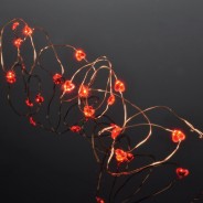 Heart Copper Wire String Lights 13 Red