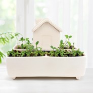 Self Watering House Herb Garden Grow Kit 1 