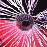 Sensory LED Fibre Optic Curtain Ring 2 View when sat inside and looking up