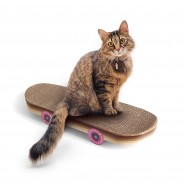 Skateboard Cat Scratcher 1 