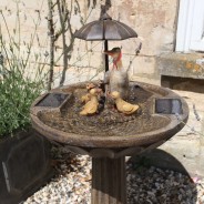 Solar Duck Family Fountain Bird Bath 3 