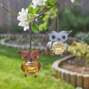 Solar Springy Owls - 2 Pack 2 