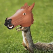 Horse Head Squirrel Feeder 1 