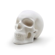 Life Size Realistic Skull Ceramic Lamp by Suck UK 5 