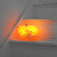 Super Cute Fox Lamp - Rechargeable 6 