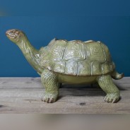 Tortoise Planter 5 