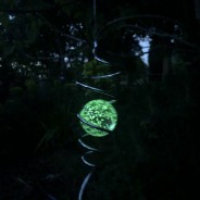 Spiral Tail with Glow Ball 5 