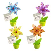 Windmill in Plant Pot - 4 Pack 3 
