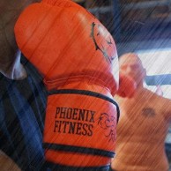 Boxing Gloves - Punching Mitts