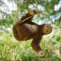 Climbing Sloth Decoration