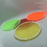 Fruit Slice Coasters (4 pack)