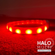 Multi-Function LED Halo - USB Rechargeable