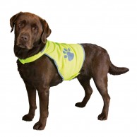 Hi-Vis Dog Vest 