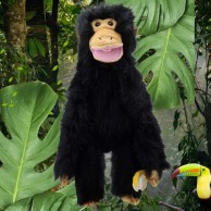 Jumbo Sized Chimp Puppets 60cm, and 74cm Tall