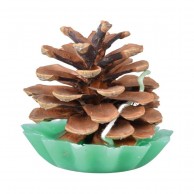 Pine Cone Fire Starters (10 pack)