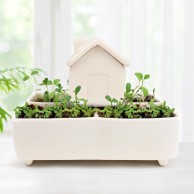 Self Watering House Herb Garden Grow Kit