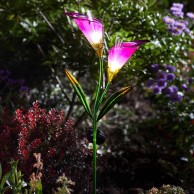 Solar Glass Lily