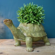 Tortoise Planter