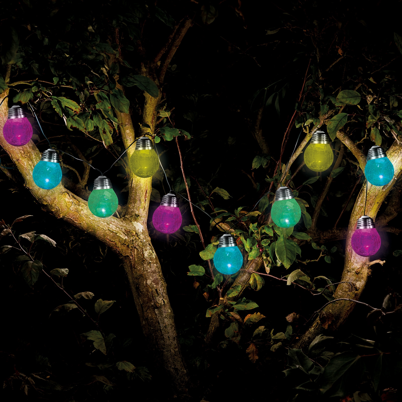 Click to view product details and reviews for Eureka Crackle Solar String Lights.