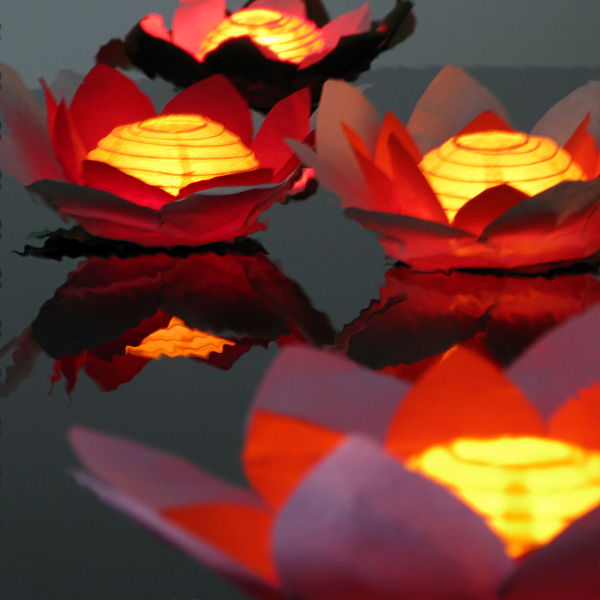 Click to view product details and reviews for Floating Flower Water Lanterns.