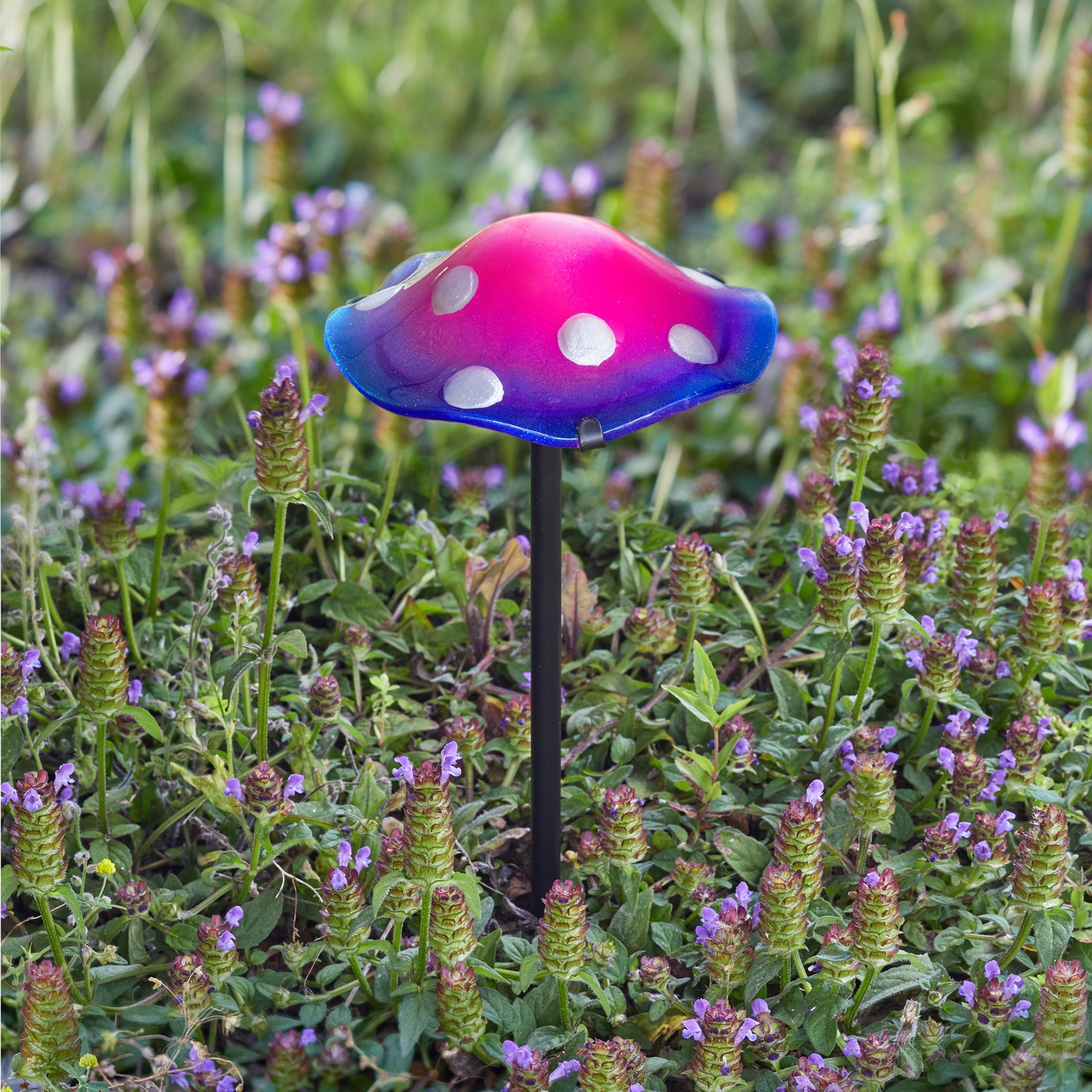 Click to view product details and reviews for Glow Mini Shrooms 2 Pack.