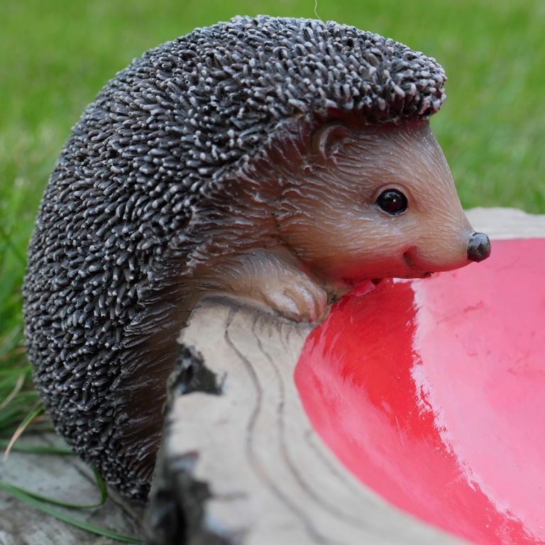 Click to view product details and reviews for Hedgehog Feeder.