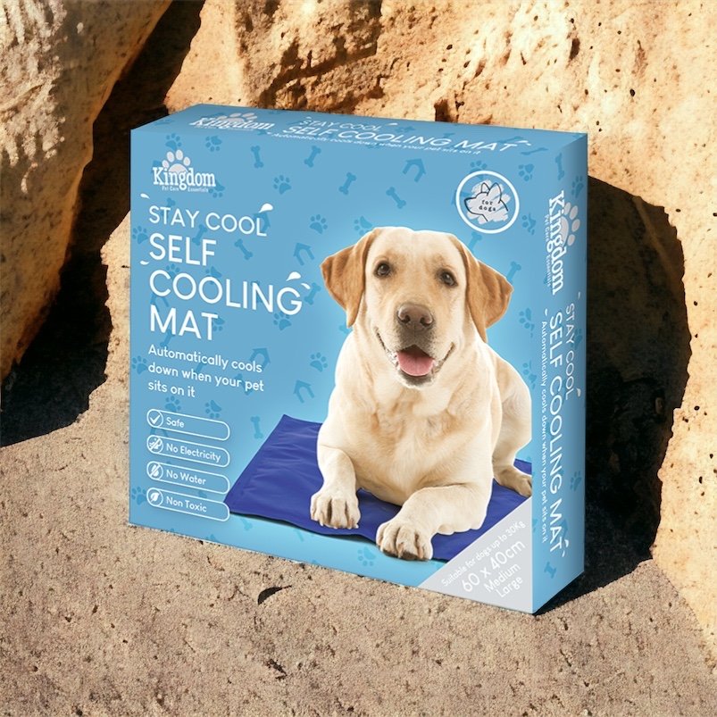 Click to view product details and reviews for Self Cooling Mat For Dogs 60cm X 40cm.