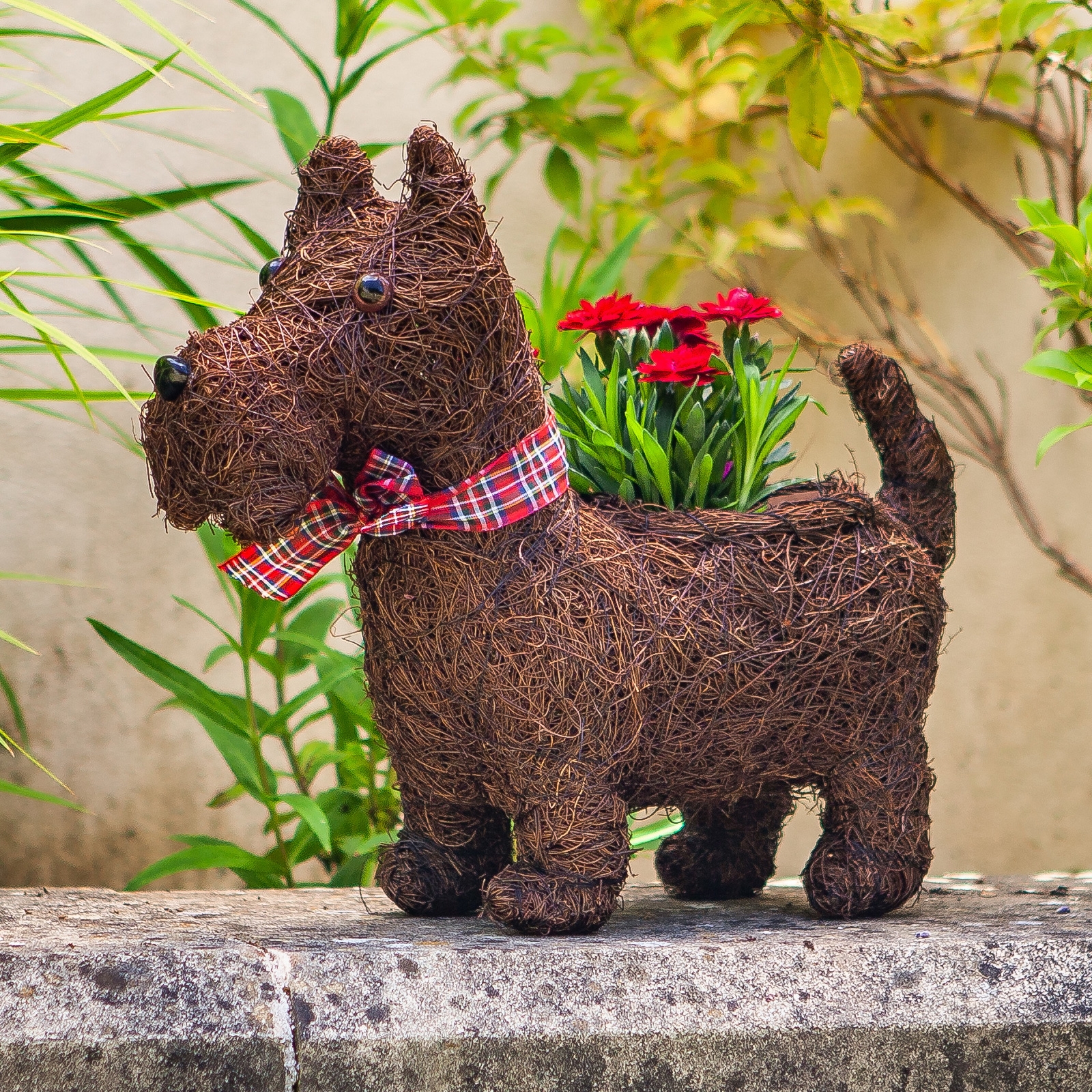 Click to view product details and reviews for Scottie Dog Rattan Planter.